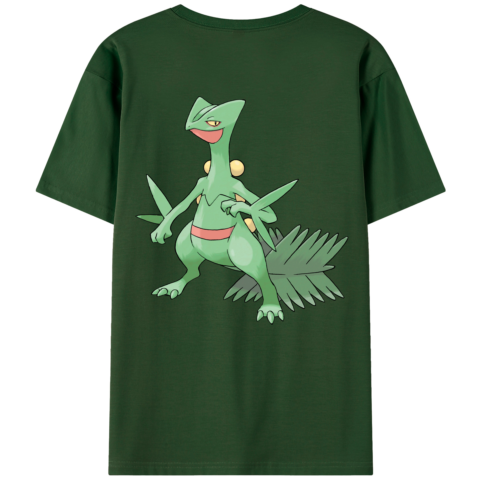 （画像用） ポケットモンスター Pokémon 綿100％半袖Tシャツ（背面プリント）